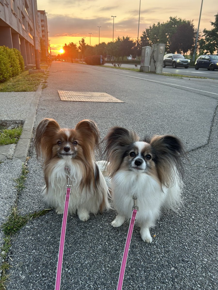 Bebou, petaaaaaaak🫶🏼