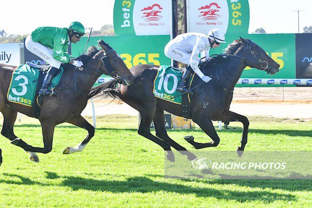 You Oughta Know (Lonhro x Hangin' Tough) breaks her maiden in the 2000m - MILDURA PLUMBING PLUS MAIDEN PLATE MDN at Mildura on April 22nd. 🐎🏆🥇

Trainer: @KennewellRacing  
Jockey: Harry Coffey

Congratulations to all connections!

She is by champion stallion Lonhro and is a…