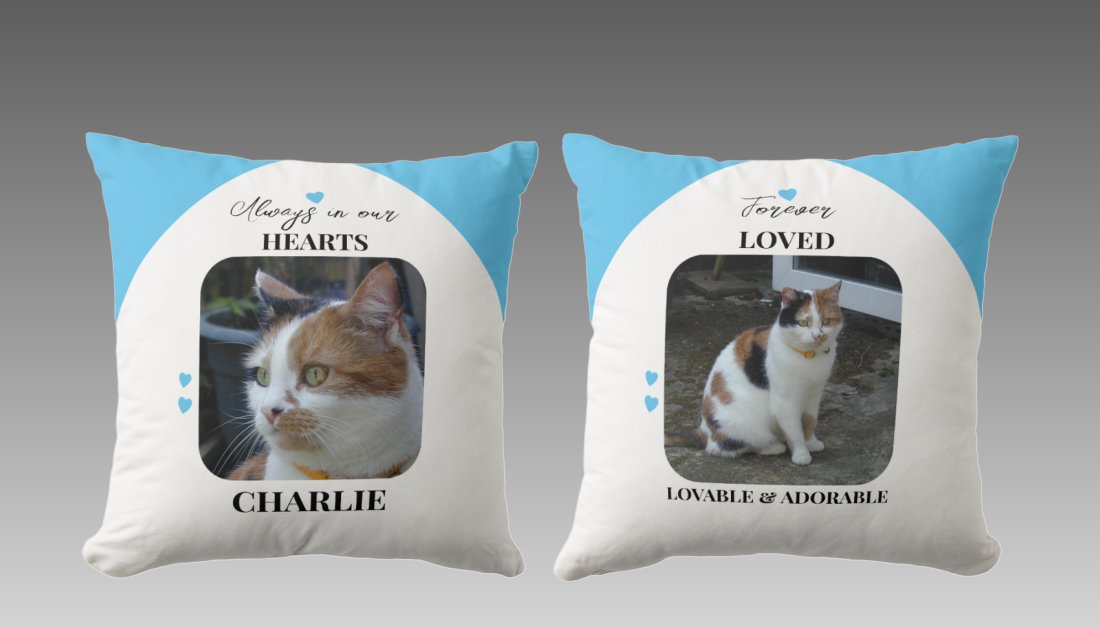 zazzle.com/z/r0bg9pbo?rf=…
#petloss #throwpillow