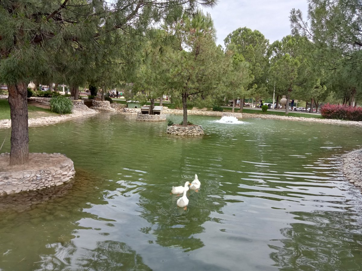 'Şu öğüdü veriyorum sana:
Başkasıyla gelen mutluluk, başkasıyla gidecektir!'

- Friedrich Nietzsche 
#nature #goodmorning #NatureLovers