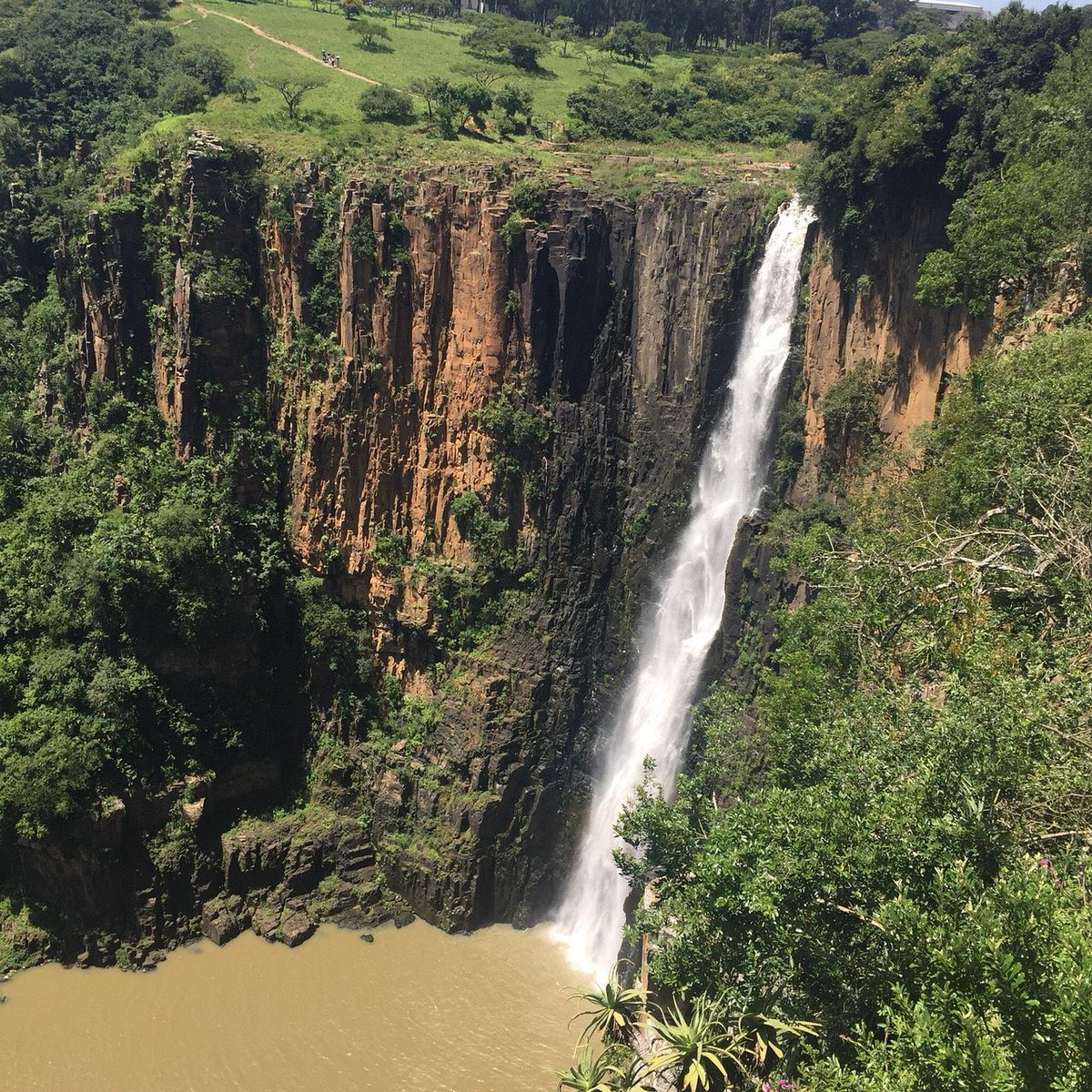 📍Howick Falls, South Africa🇿🇦