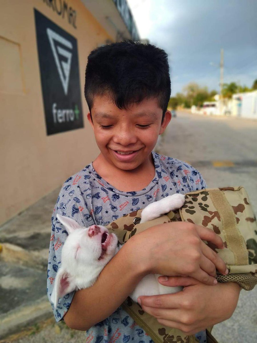 #Yucatan

🐕🐶SI ESTÁS EN VALLADOLID APOYA A LALO COMPRÁNDOLE SUS PALOMITAS 

“El Pequeño Lalo  Salio A Vender  Palomitas Con Su Perrito por si lo ven cómprenle Sus Palomitas 🫶🏽,El Anda  Con Todo El Ánimo De Vender Sus Palomitas 😊” compartieron en redes.

👇🏻