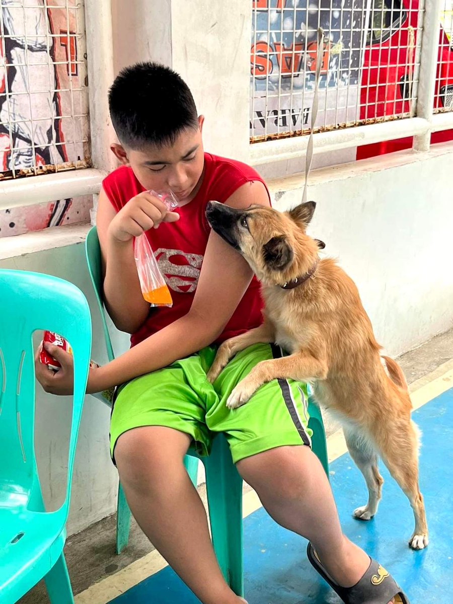 “PATIKIM LANG TAPOS PROMISE, MAGPAPAKAPON NA AKO! 🥺”

Habang nakapila para ipakapon, ang furbaby na ito ay hindi na napigilang humingi ng merienda sa amo niya 🐶

PAALALA: Kailangan pong naka-fasting/hindi po muna napakain ang alaga natin nang at least 5 HOURS bago sila ipakapon