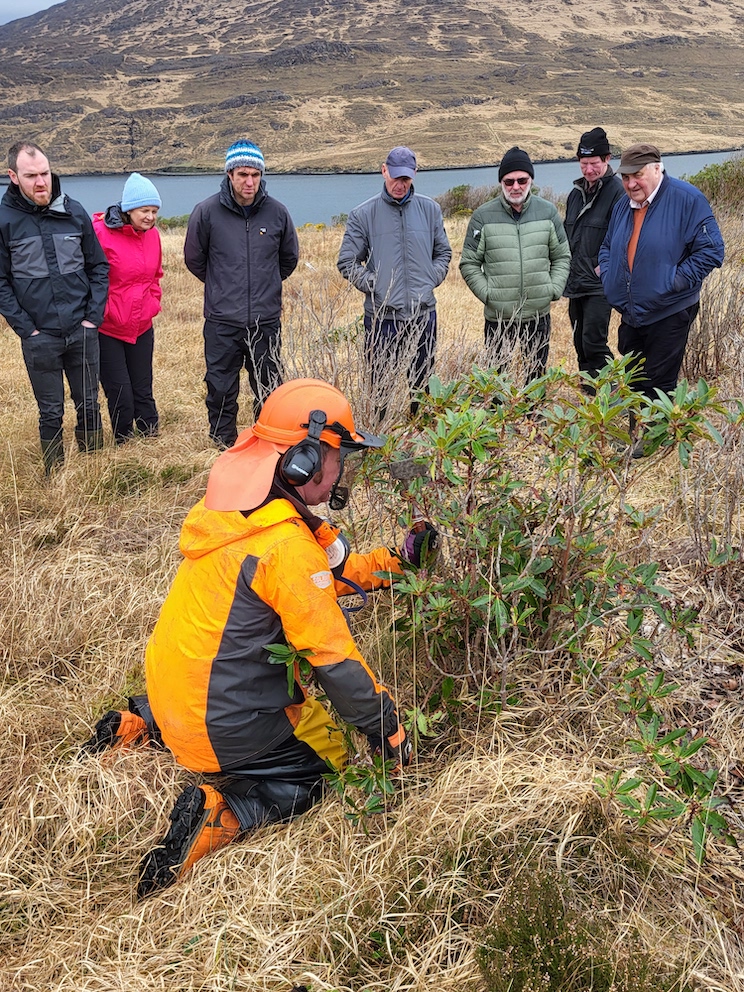 Pearl Mussel Project tweet media
