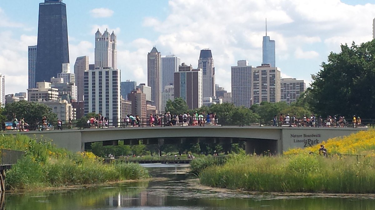 Take a FREE, self-guided walking tour of #Chicago using your smartphone! Loop/Architecture, @Millennium_Park, @NavyPier, @OldTownCHI, Gold Coast, Chinatown & more! evisitorguide.com/chicago/metrow…

#travel #budgettravel #sightseeing #tours #walkingtours #free #SightseeingMadeSimple.