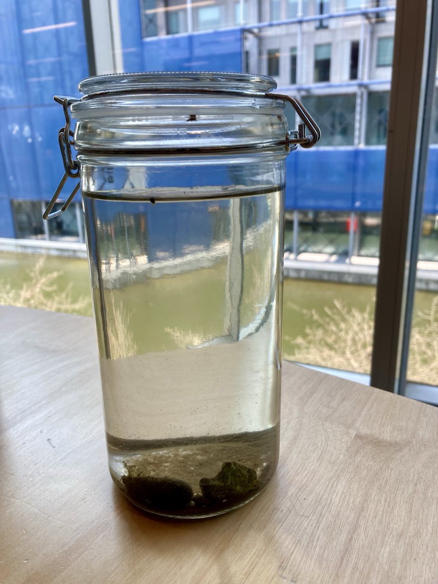 Forleden var den i Folketingssalen, nu står den på mit bord i DR Byen og venter på at møde Ugens Gæst havmiljøforsker Stiig Markager ⁦@P1radio⁩ kl 10. 
Tak til ⁦@martinlidegaard⁩ for udlån
#VejleFjordOnTour #dkpol