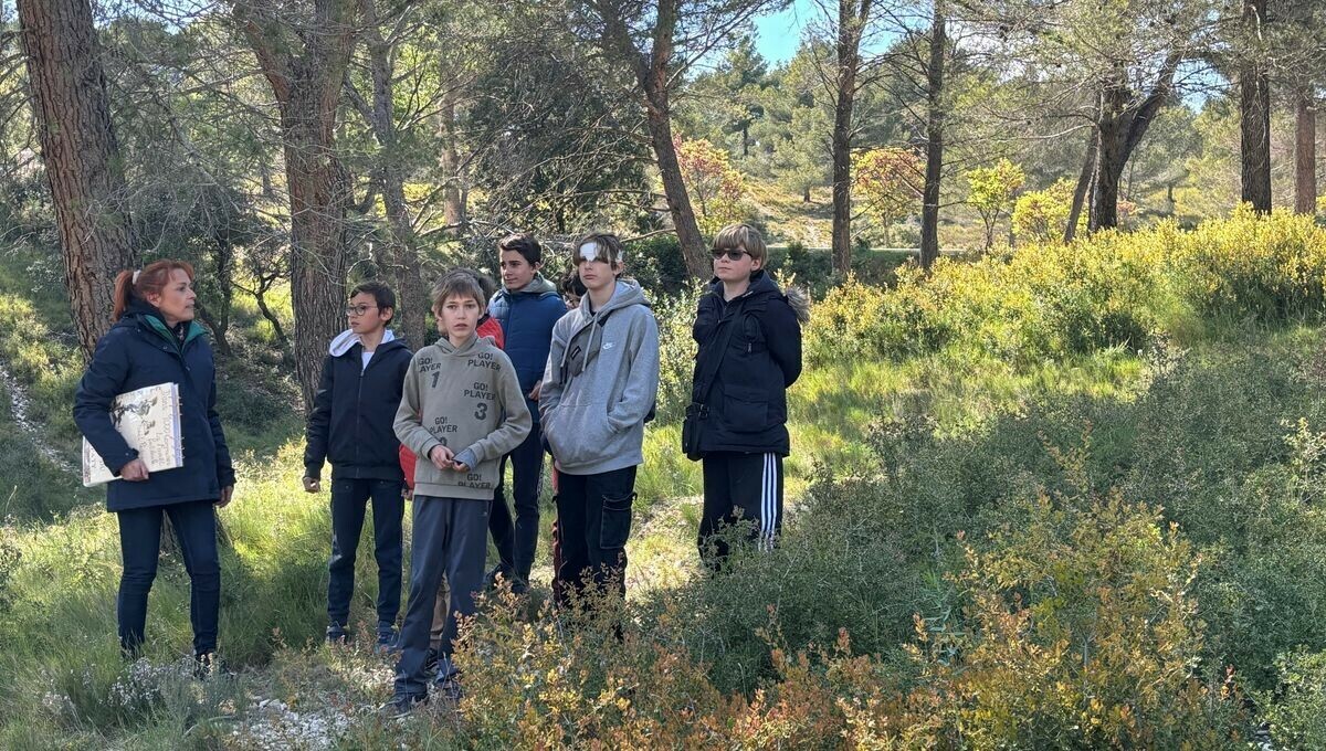 Vaucluse : une forêt pédagogique est désormais gérée par les enfants de la commune ➡️ l.francebleu.fr/Wn04