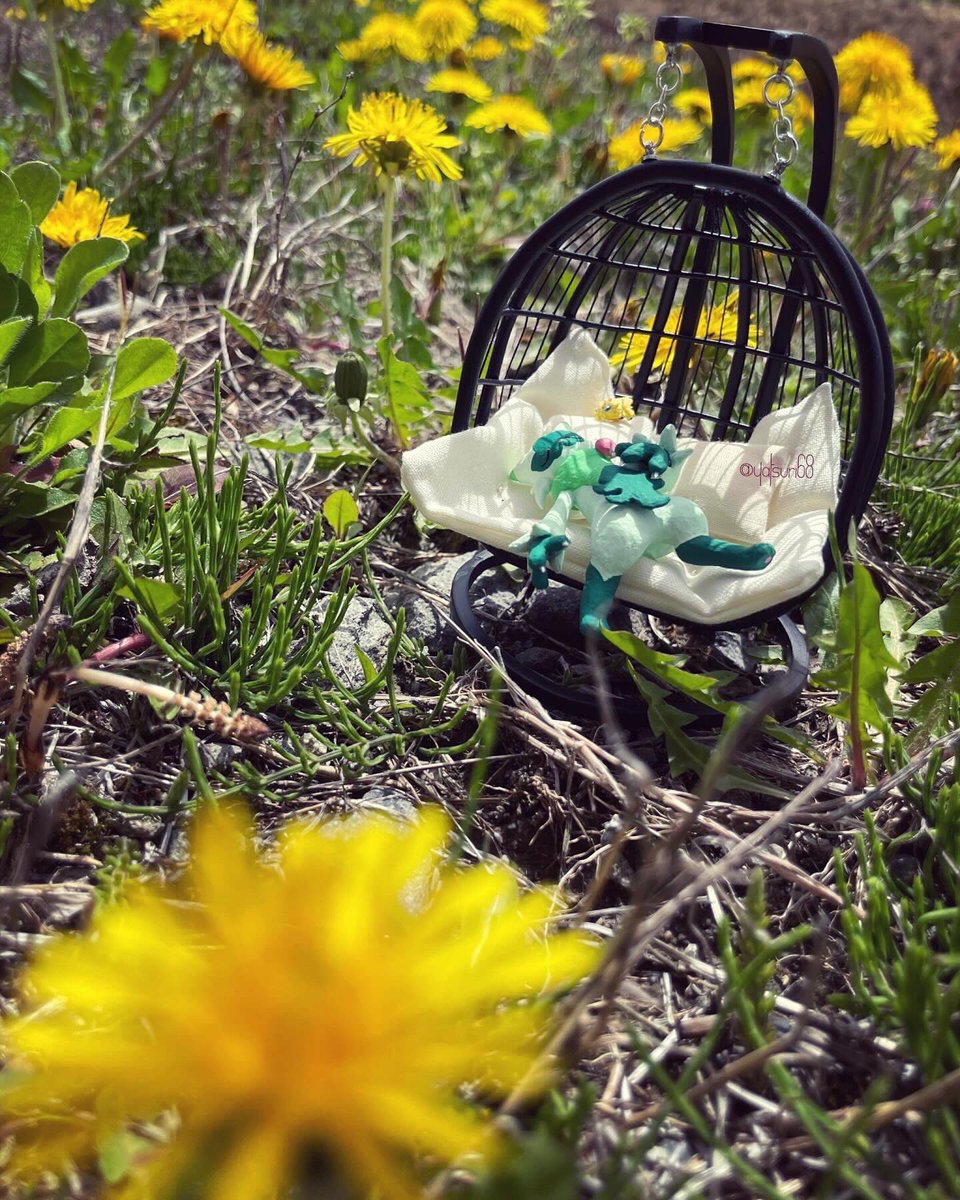 Zzz...🌼*･🌸⋆*

 #ニャローテ  #バチュル