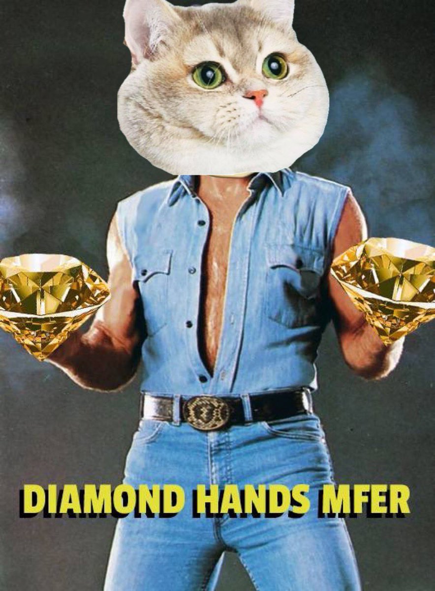 catpuffcoin tweet media