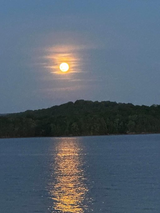 The beautiful moon! ❤️ #fullmoon #beautiful #outdoors #nightowl #reflections #nature #sky https://t.<a href="/tag/fullmoon"class="tags">#fullmoon</a><a href="/tag/beautiful"class="tags">#beautiful</a><a href="/tag/outdoors"class="tags">#outdoors</a><a href="/tag/nature"class="tags"><span>#nature</span></a><a href="/tag/sky"class="tags"><span>#sky</span></a><a href="/tag/nightowl"class="tags"><span>#nightowl</span></a><a href="/tag/reflections"class="tags"><span>#reflections</span></a>