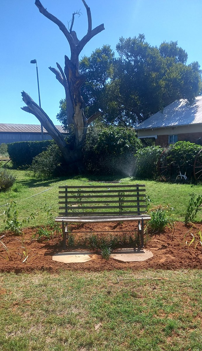 Good morning
Getting ready for the weekend. 
Our little memorial garden is looking good. 
Enjoy your day. 
#kameelhuisetussenspore #route377 #kameel #noordwes