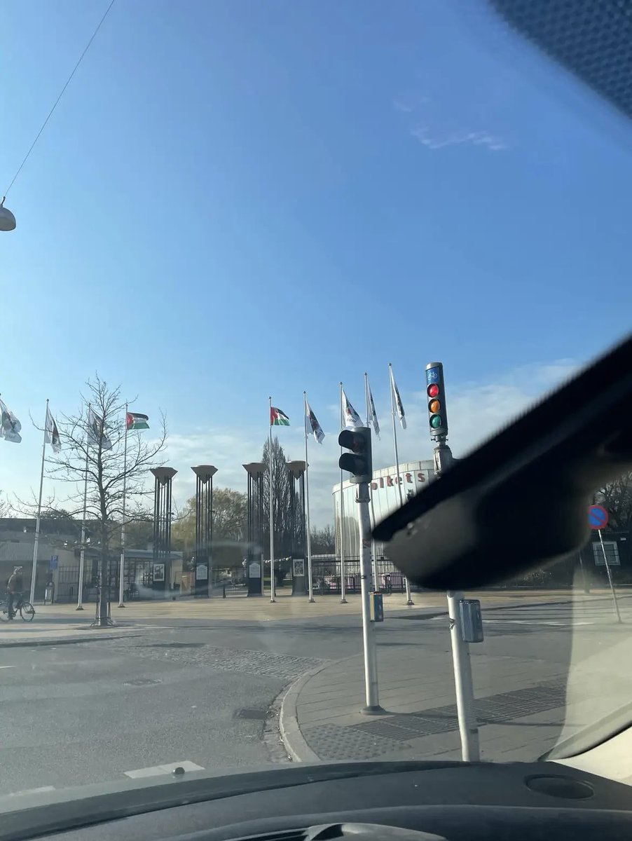 Bild från Folkets Park i Malmö (från igår). Leve Palestina och krossa sionismen!🇵🇸