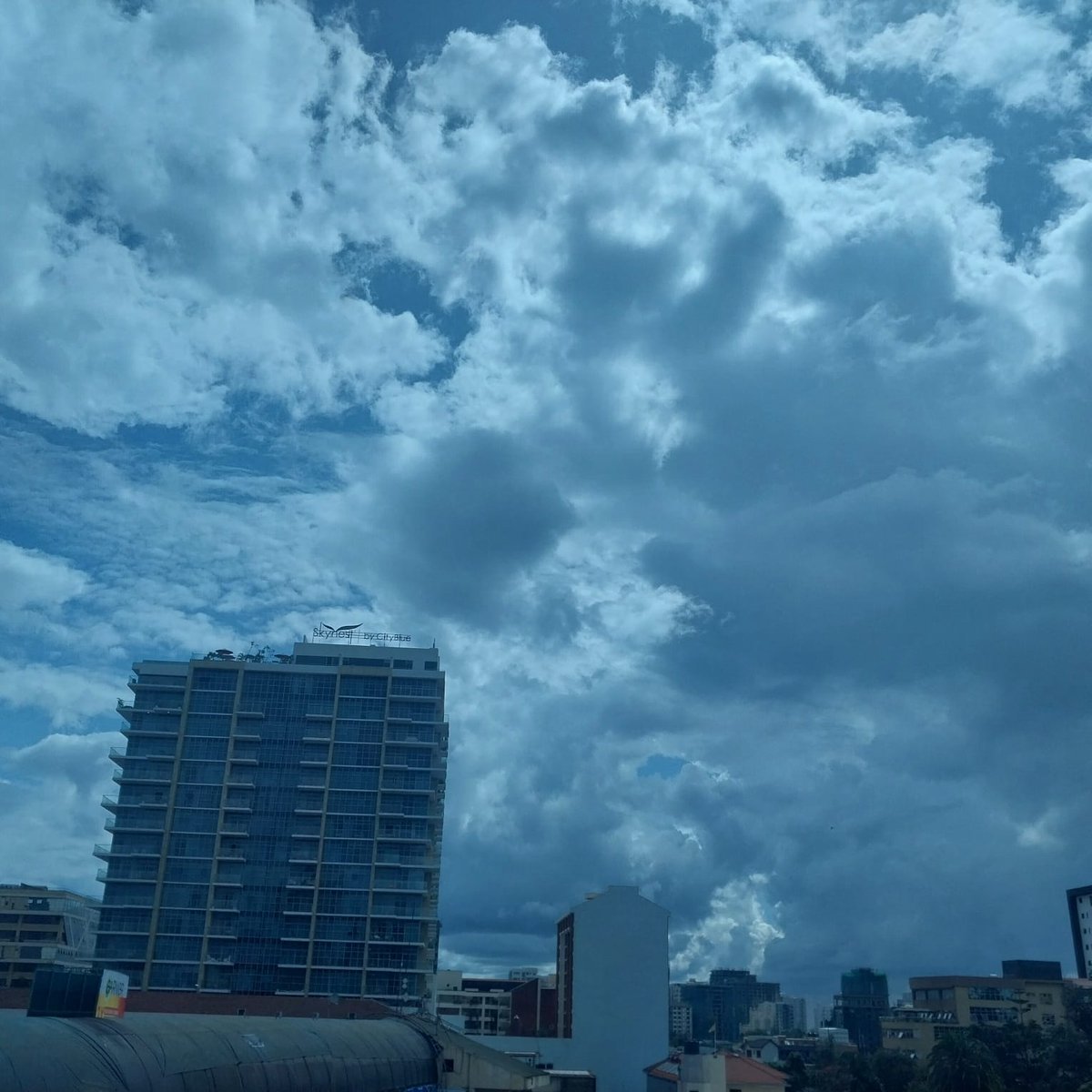 People can help you in many ways throughout life, but there are two things nobody can give you: curiosity and drive. They must be self-supplied.
If you are not interested and curious, all the information in the world can be at your fingertips, but it will be relatively useless.