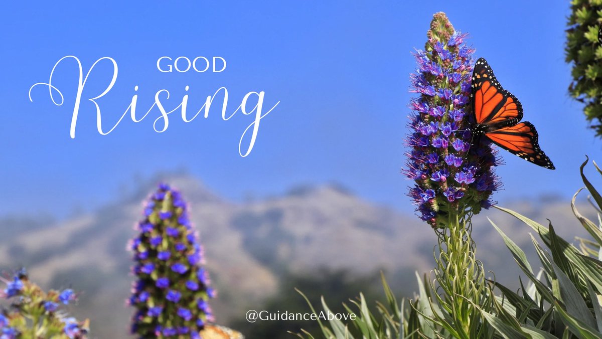 Good rising soul fam 🫶🏻 Affirm; 🗣️ “I’m no longer stressing over what I can’t control. It’s out of my hands bc it’s in the divine hands. I will allow myself to breathe in faith & exhale the anxieties & fears that make me feel dis-ease bc everything’s going to better than ok!”