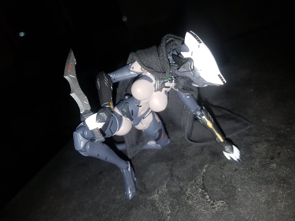 TheLocalBard's tweet image. Took some Assassin pictures while I made supper.

#SnailShell #Assassin #SnailShellAssassin #ToyPhotography @wozhike