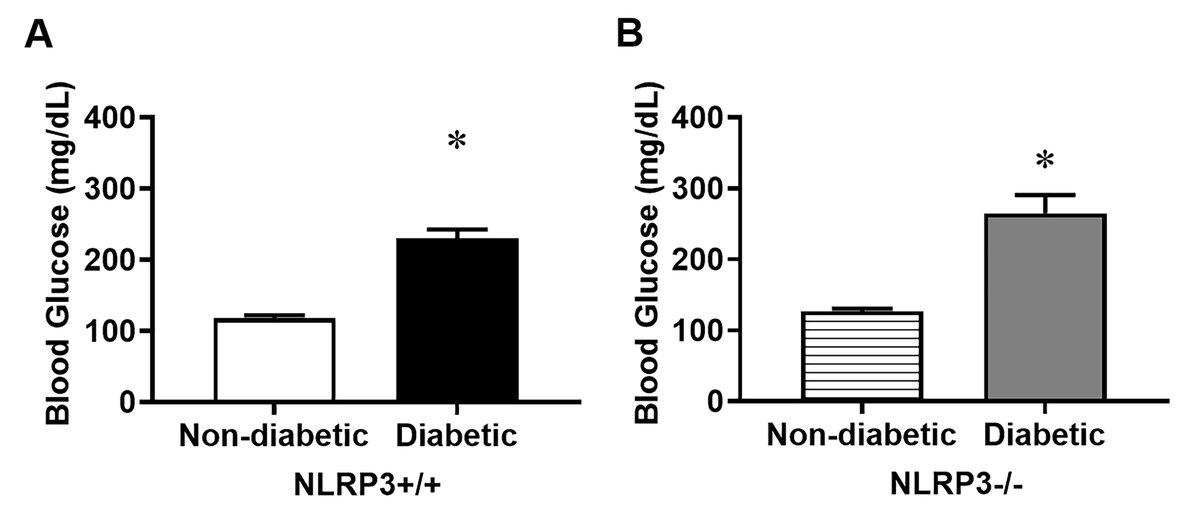 🎉Exciting news!
Check out our latest article 'Female Type 1 Diabetic Akita Mice Demonstrate Increased Bladder Contractility via FP Receptor Activation due to NLRP3-Mediated Inflammation' by Dr. Michael R. Odom
imrpress.com/journal/FBL/29…
#DiabetesResearch #ScienceTwitter