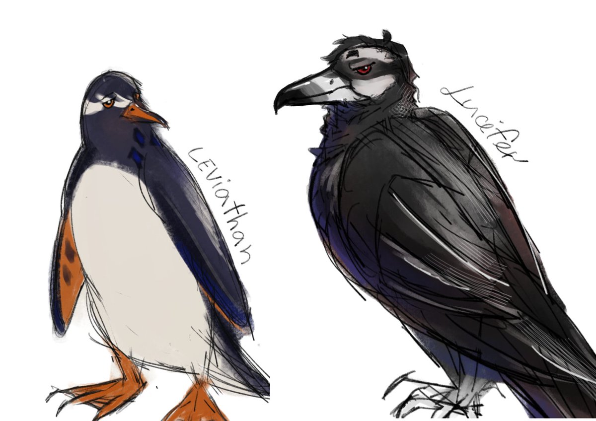 I see a lot of people liked the birds, so...
Lucifer – Black vulture  
Leviathan – Gentoo penguin

#obeyme #obeymefanart #ObeyMeNightbringer #obeymeLucifer
#obeymeLeviathan