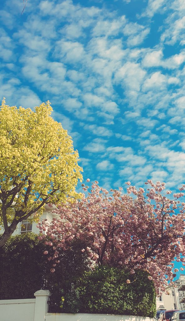 JDR_ARTS tweet media