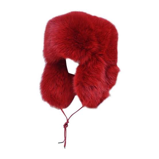 thinking about lil wayne in the marc jacobs fox fur hat