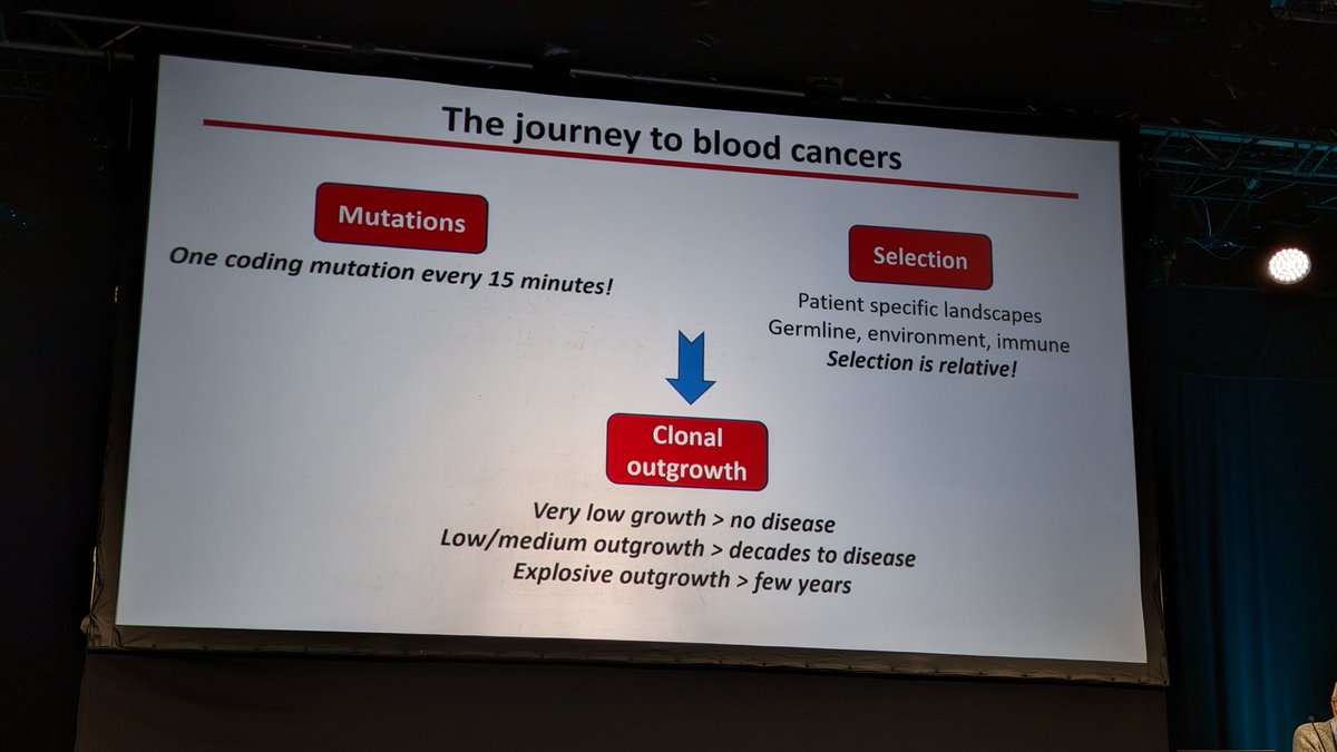 Beautiful talk by Dr @jyoti_nangalia shedding light on Insights from Genomic Studies of MPN. #ESHMPN2024 #ESHCONFERENCES #MPNsm #MPNResearch @MPN_Hub @MPN_RF @oncodaily @Cambridge_Uni