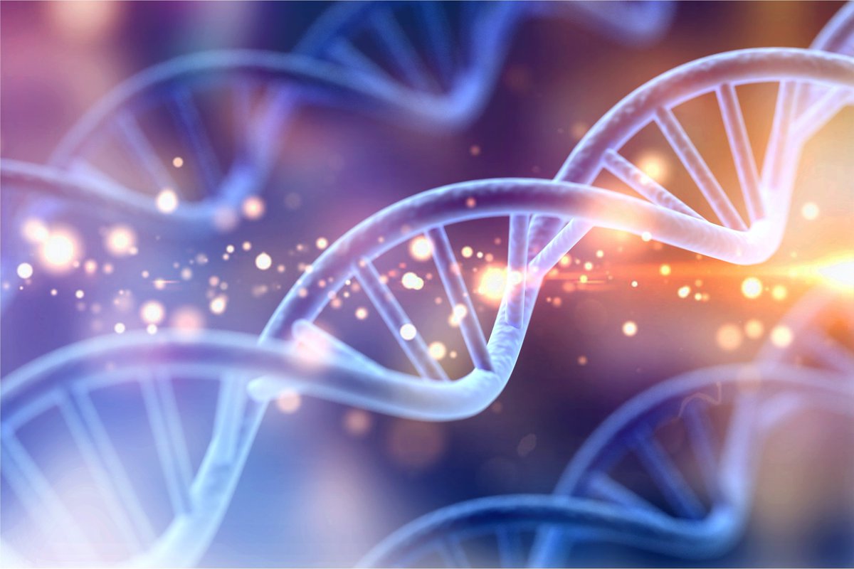 NEW: Researchers from the Fairfax Group (@OxfordOncology) have published a study in @CellGenomics proposing a link between DNA methylation, inflammation and long-term health outcomes. Read more on our website: imm.ox.ac.uk/news/gilchrist…