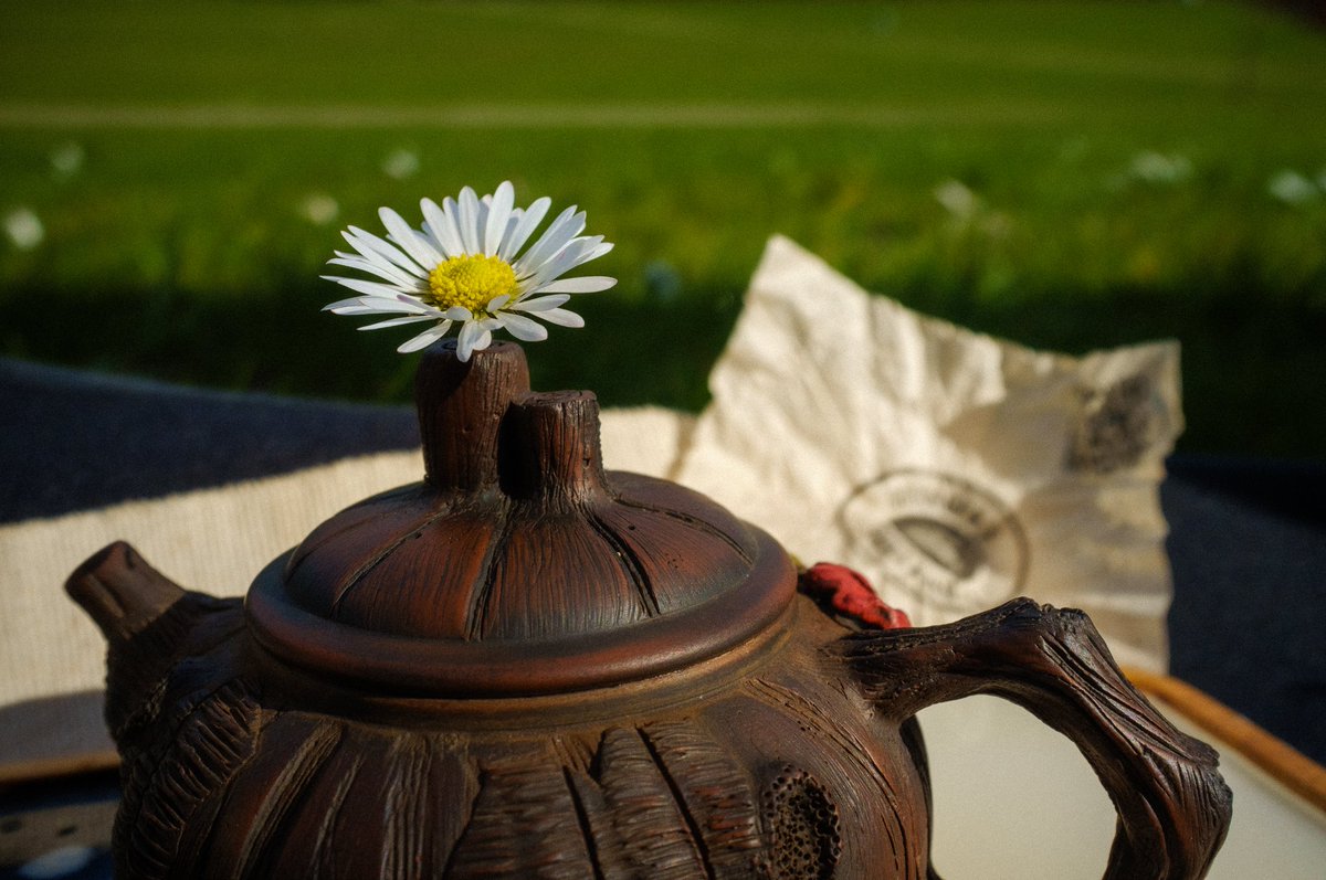 it's been a long time since I last posted anything on Twitter, and I haven't tweeted much before either.

so here are some photos from last month of our casual tea gathering at <a href="/constructor_uni/">Constructor University</a>'s campus green.

nothing beats drinking some pu'er tea outside in good company.