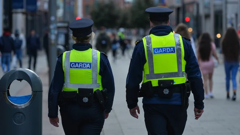 Are the challenges facing An Garda Síochána unique to Ireland? @NeasaNiL @LawUCC @UCC on how police forces around the world are also facing issues around recruitment, policing of protests and online threats rte.ie/brainstorm/202…