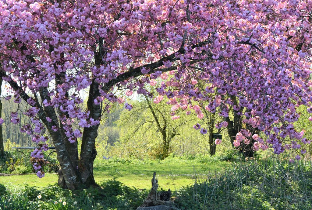 Wat kleur om je dag te beginnen! #kleurrijk #camer_a_pril