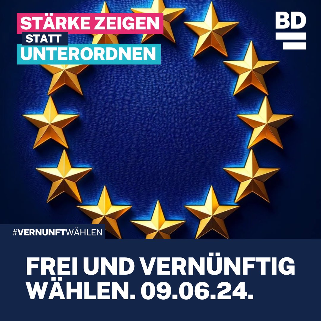 Für eine starke europäische Gemeinschaft statt EU-Selbstbedienungsladen für abgeschobene Personalien. #bündisdeutschland #vernunftstattideologie #ralphkleemann #larspatrickberg #grenzensetzen #freiheitwohlstandsicherheit #steffengrosse #grünabwählen