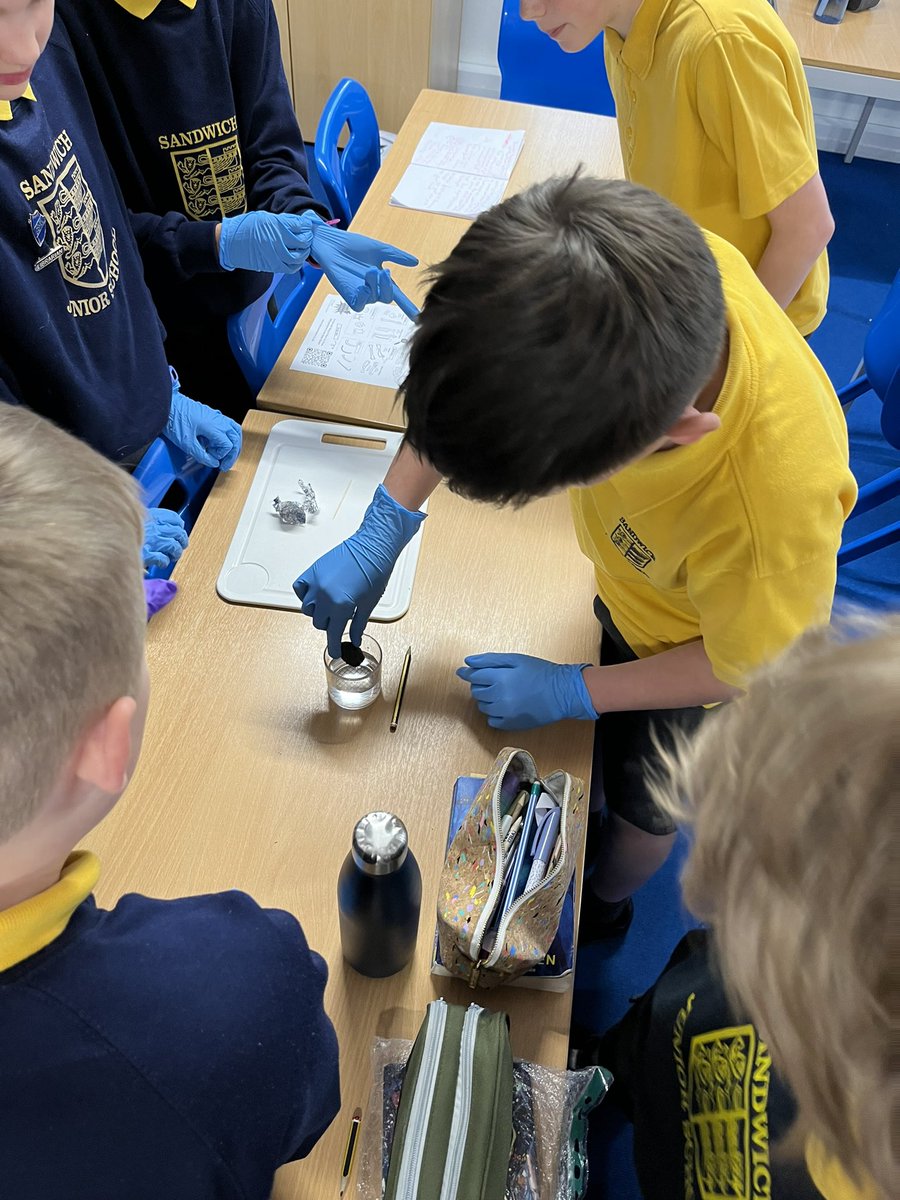 Eagle A were engrossed in dissecting owl pellets. From one or two volunteers initially, to just about the whole class engaged in this and somewhat reluctant to stop. Some future pathologists, biologists and palaeontologists?