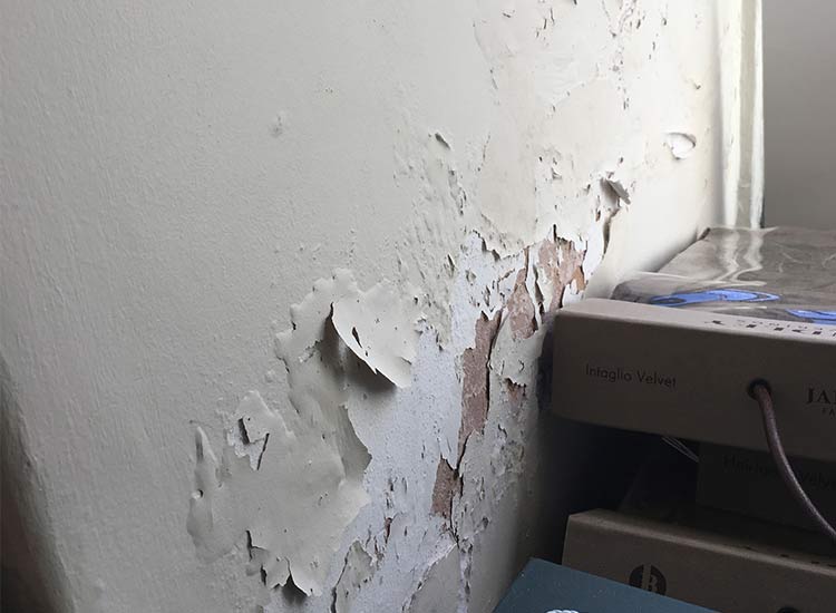 The Issue of Misdiagnosis in Rising Damp Cases

In recent times, there has been a noticeable increase in the number of damp repair contractors in Nigeria. However, alongside this rise, there have been numerous failures in the repairs carried out by these contractors, leaving many