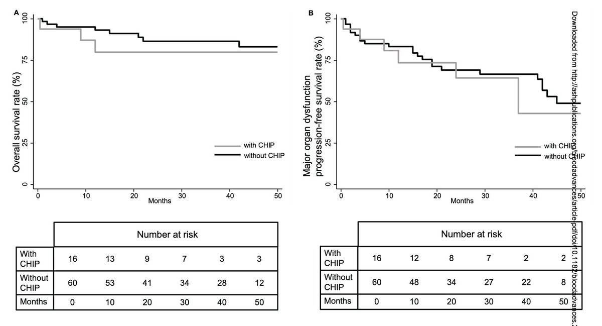 #Myeloma Paper of the Day: Study of CHIP in AL #amyloidosis finds mutations at higher frequency (21%) vs. controls, DNMT3A was most frequent mutation, CHIP patients were enriched for t(11;14) & renal involvement, but not associated w/ worse outcomes: pubmed.ncbi.nlm.nih.gov/38652890/.