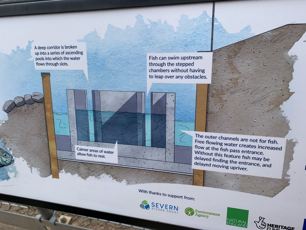 imkegoal's tweet photo. Yesterday we visited Diglis Fishpass as part of a meeting between our team and our place/area managers. An interesting educative afternoon out, delivered with real passion by @ChrisBaingerEA. 28 different species of fish passed through this pass since it opened. https://t.co/RZaRAfuKaf