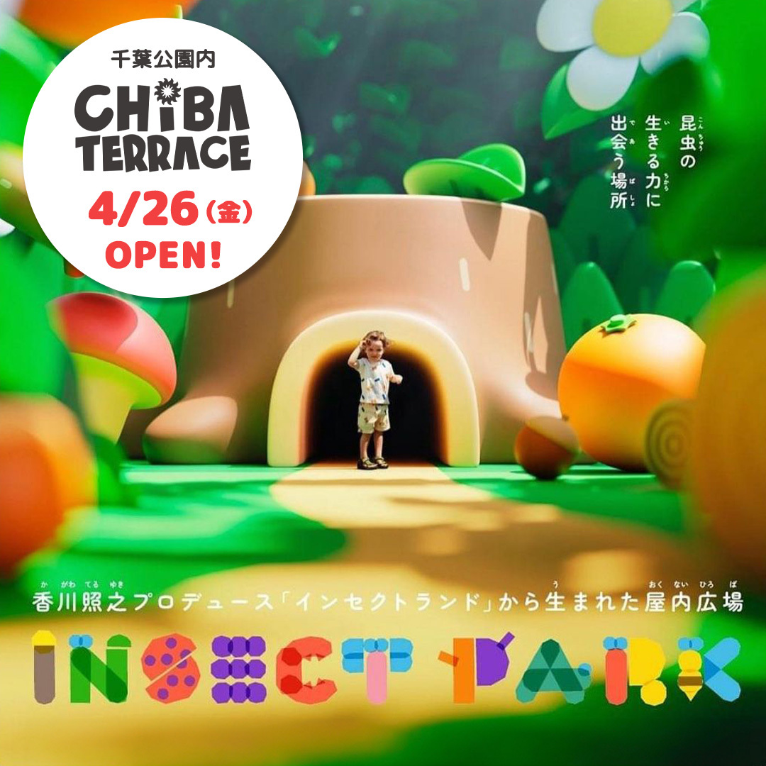insect_market's tweet photo. 雨の日でも楽しめる、屋内広場インセクトパーク、千葉公園内のCHIBA TERRACEにOPEN✨
ふわふわマウンテンや、大きな切り株の世界を昆虫目線になって遊ぼう🌱
INSECT MARKETのショップも併設！

🎁オープンキャンペーン
小学生以下のご入場のお子様にソックスプレゼント🐞

https://t.co/qZkqZVqo3I https://t.co/fXvqdi2gIV