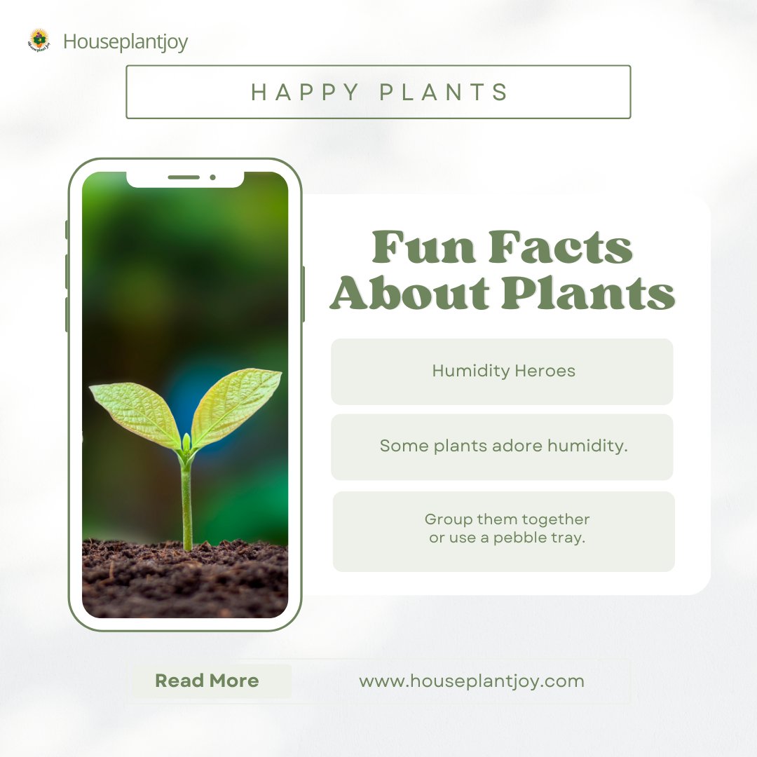 Discover which plants thrive in high humidity environments! From tropical beauties to moisture-loving ferns, explore a variety of plants that thrive in humid conditions. Visit our website: tinyurl.com/2xqugtv4

#HumidityPlants #TropicalVibes #IndoorJungle