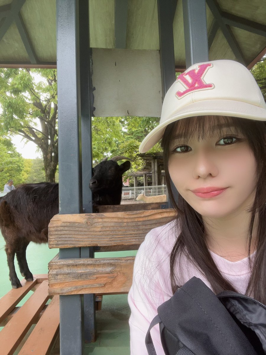 今日もヤギ活してきました🐐❤️この黒い子には前もたくさん構ってもらってどうやら相思相愛みたいです🤤🩷