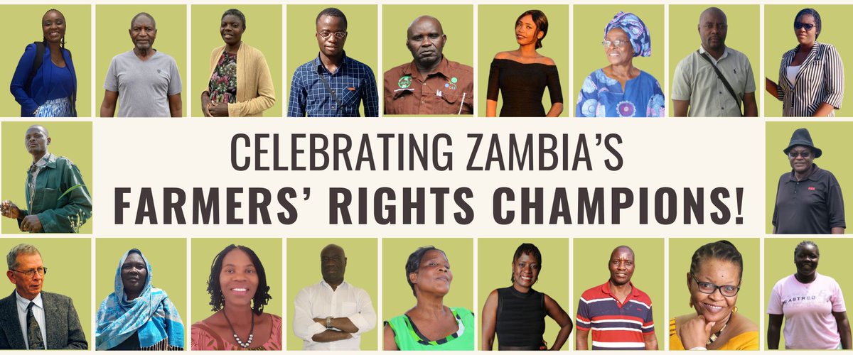 Zambia's seed sovereignty is at risk! Small-scale farmers face restrictions on saving, exchanging, and using seeds from their harvests. This #InternationalSeedDay, let's celebrate some of the #FarmersRightsChampions who are advocating for the rights of local small-scale farmers!