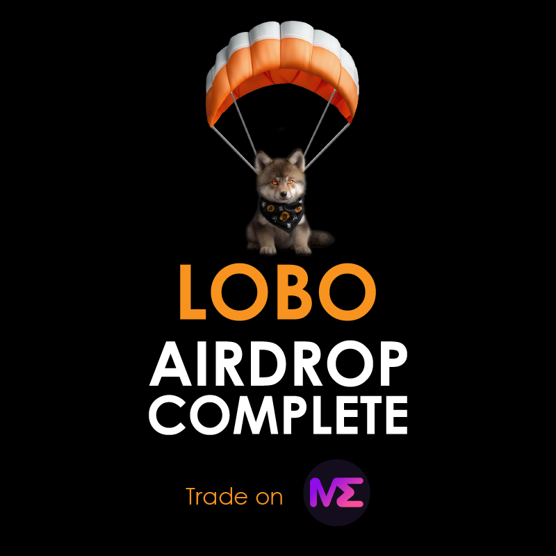 _BuoyantCapital's tweet photo. The airdrop for $LOBO has been successfully completed! SEND IT!

Buy $LOBO on @MEonBTC 
https://t.co/o96wG9FZtN
#runedoors #runestones https://t.co/ycwXQz2ixz