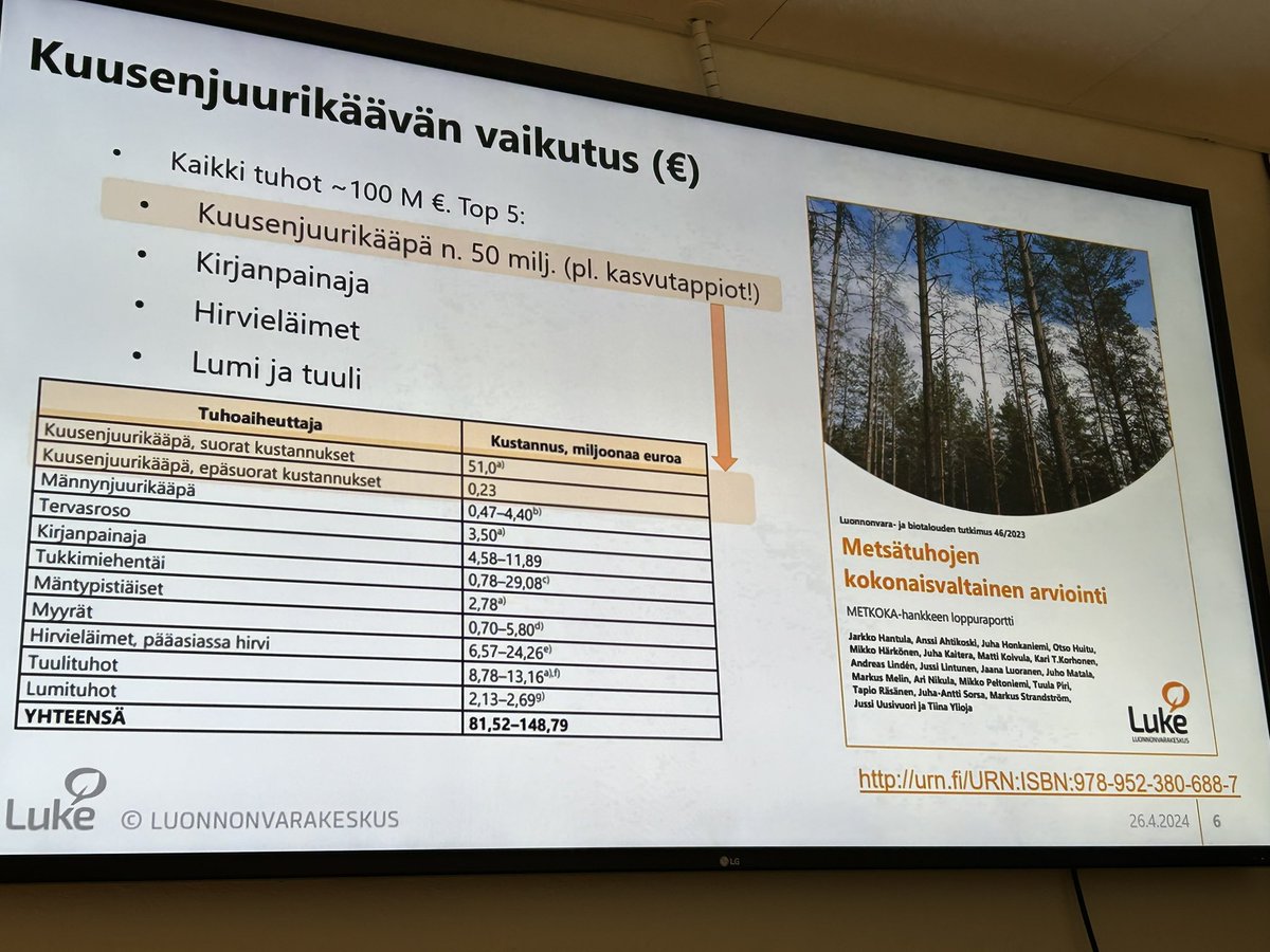 #juurikääpä on ylivoimaisesti suurin metsätuhojen aiheuttaja Suomessa. Paljon isompi kuin myrskyt ja kirjanpainaja.

#tyvituho