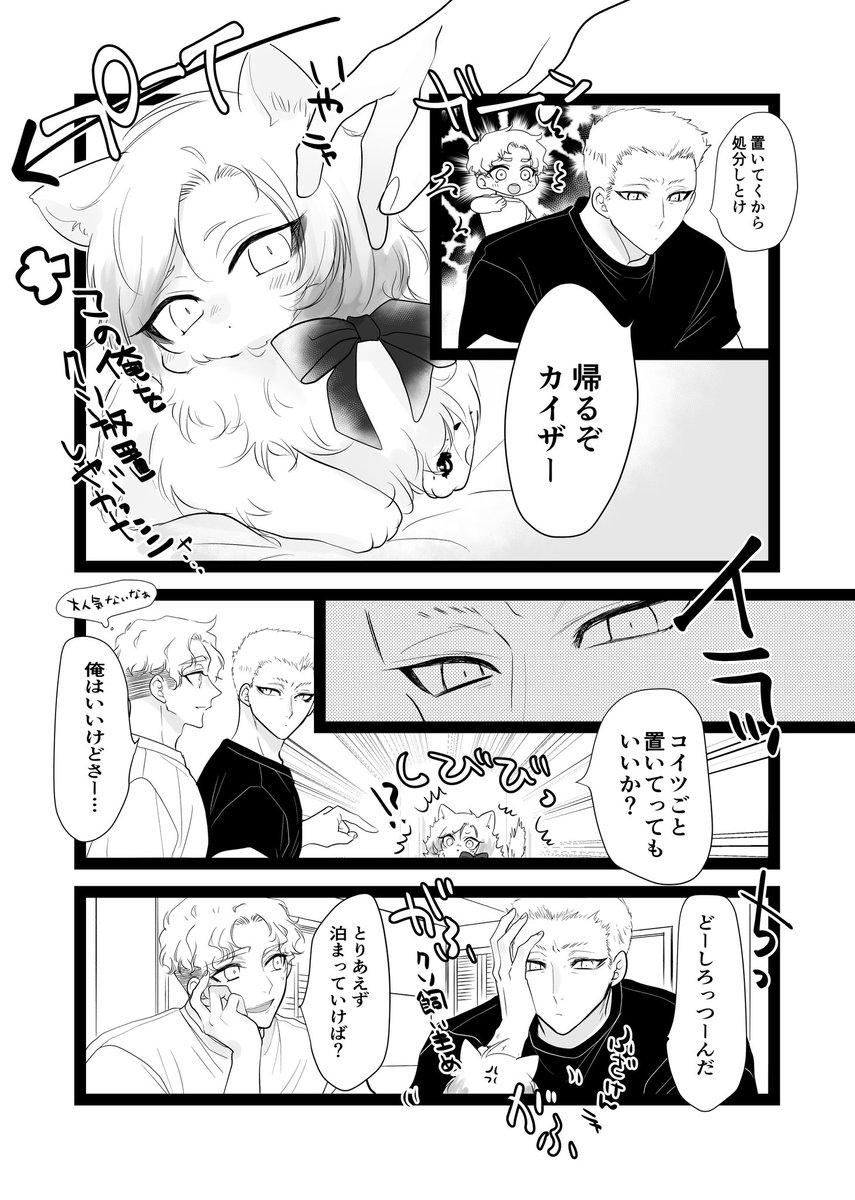 na様の飼い猫ザとcrs
※猫化 