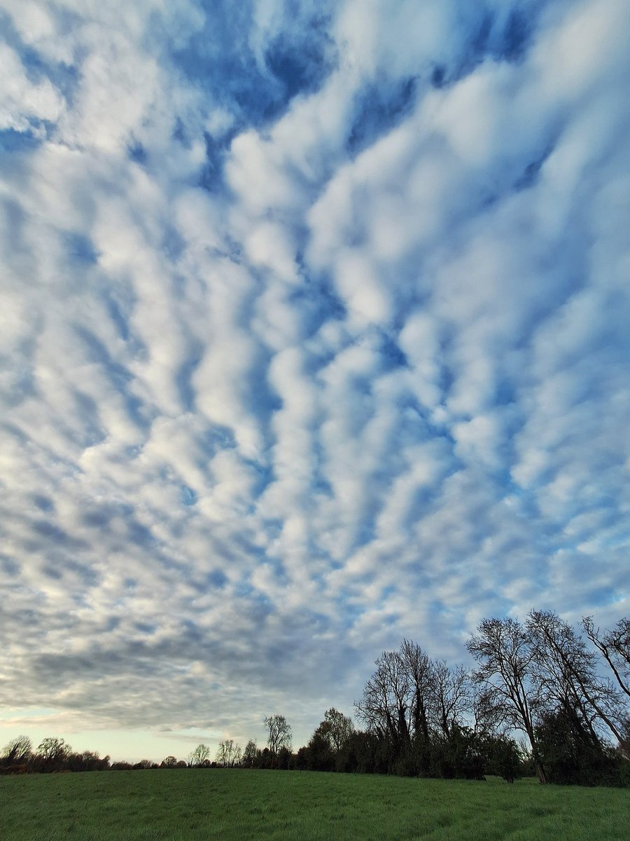 Tim McEwan's Wooden Spoons tweet media