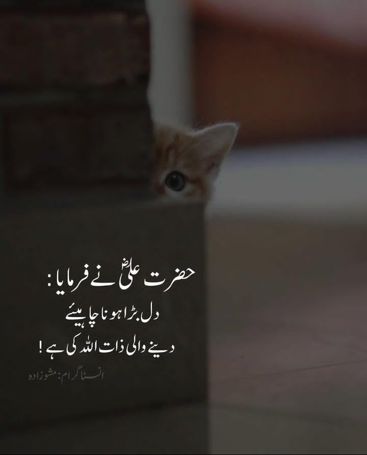 Bilkul Hamesha Jitna Zada Mang Sakty Ho Mango ALLAH se.

#JummahMubarak #HappyFriday #BREAKING_NEWS