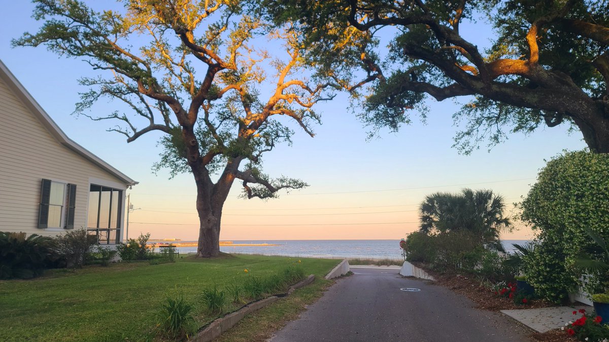 7 pm in the Bay. Quiet at dusk—but then a whole symphony after midnight: insects, birds, frogs, the neighbors' wind chimes. #Mississippi