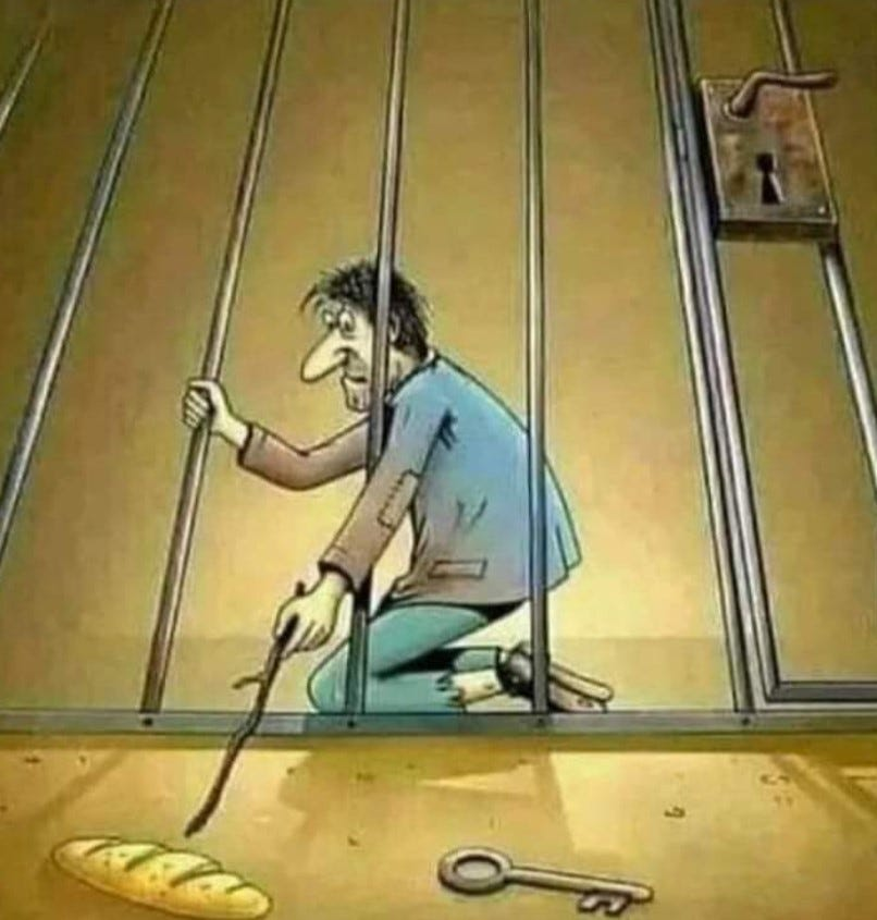 Tsogang3's tweet photo. We are addicted to nice things which we don't know how to get or make for ourselves 😭 so you revolutionaries suggesting a change of mindset will be met with high levels of resistance 😭 https://t.co/xNGxFZ8M6v