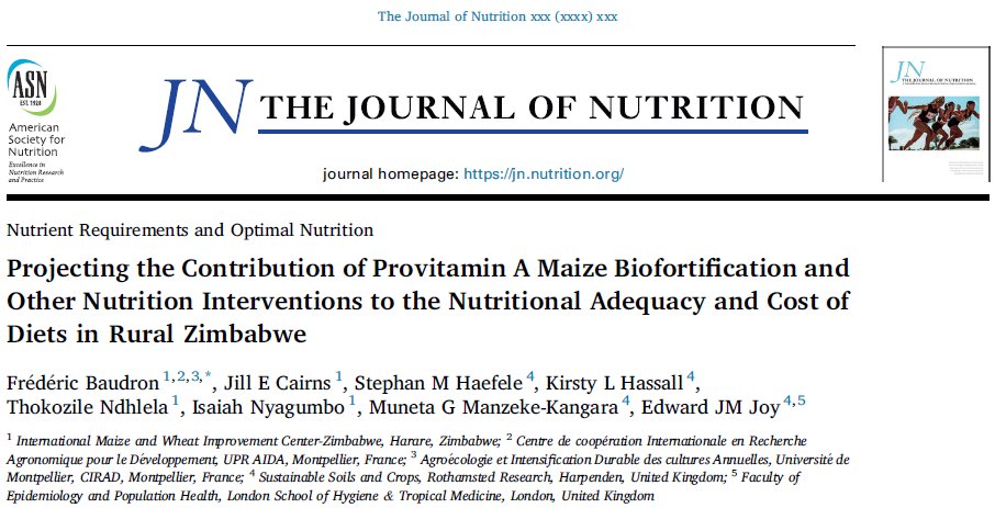 🚨📢#JustPublished by @CIMMYT @Cirad & @Rothamsted. Adoption of #maize #biofortification would improve #vitaminA intake in rural #Zimbabwe, but should be combined with other interventions (e.g., #diet diversification) to fully address deficiencies. 👉rb.gy/r1rxvt