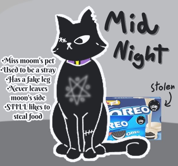 NightmareReact1's tweet photo. Miss moon's pet cat "MID NIGHT" or smoky as a nickname. Mid night is a stray that Moon found one day while heading home from college classes. She almost never meows but can be very tricky to deal with.

#fundamentalpapereducationoc 
#fundementalpapereducation https://t.co/W35Qd183XF