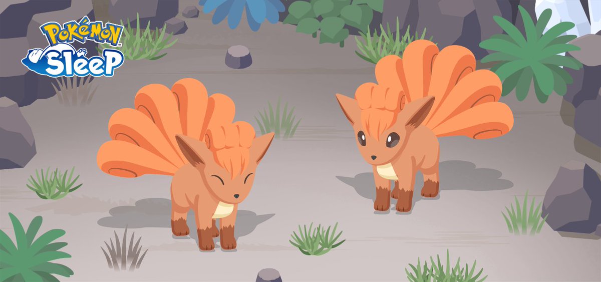 Serebii Update: Pokémon Sleep is to add Vulpix and Ninetales to the game starting May 6th at 15:00 local time serebii.net