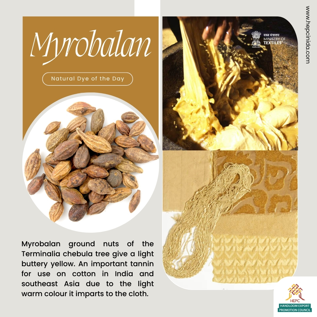 Myrobalan, natural dye of the day by HEPC.

Credit: maiwahandprints.blogspot.com & naturaldyes.ca

#Indian #handloom #sustainable #natural #dye #Myrobalan #Fabric