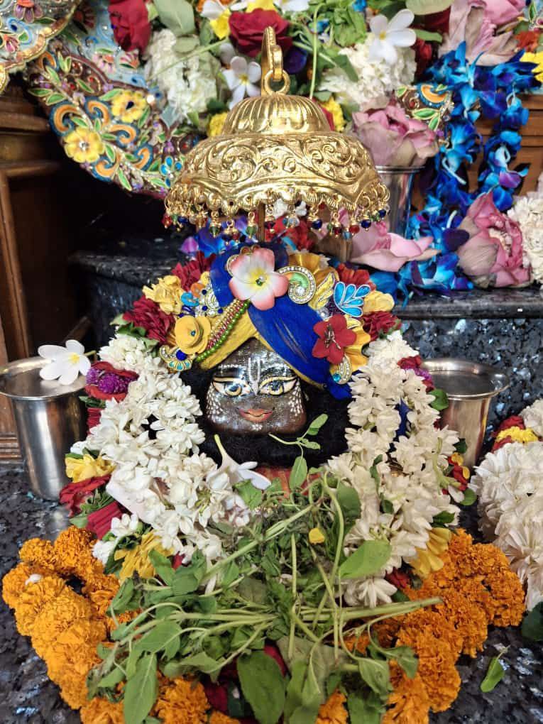 ISKCON_Dwarka tweet picture