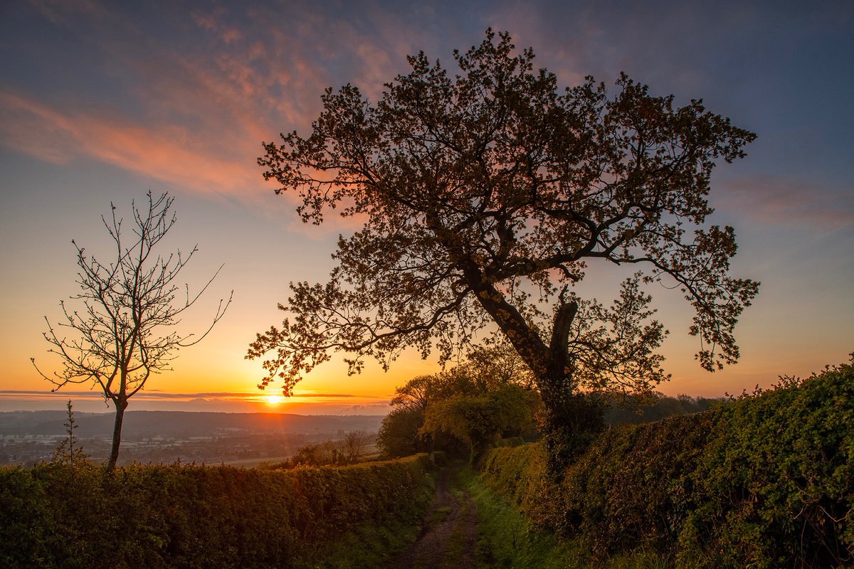 Spindle Lane Sunrise What a glorious morning for a sunrise walk.....being rewarded with this fabulous light made the 4.45am alarm worth it! #Nottinghamshire #Sunrise